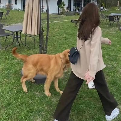 显微镜下的大明
